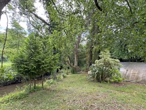 Photo 15- click for photo gallery